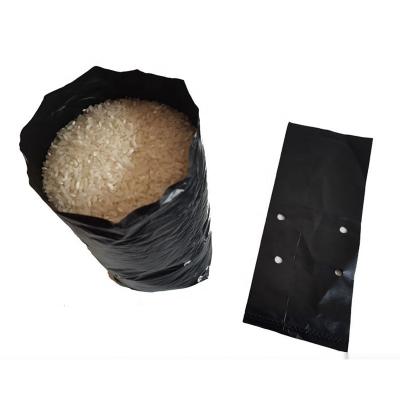 China PE block fruit seedling seedling bag citrus breathable black anti-corrosion thick nutrition cup feeding cup planting bag film plastic baglogo for sale