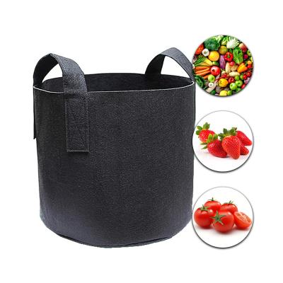 China Free Samples Eco-Friendly 5 7 10 Gallon Strawberry Felt Fabric Pot Tree Plant Grow Bags Non Woven Potato Planting Bags for sale