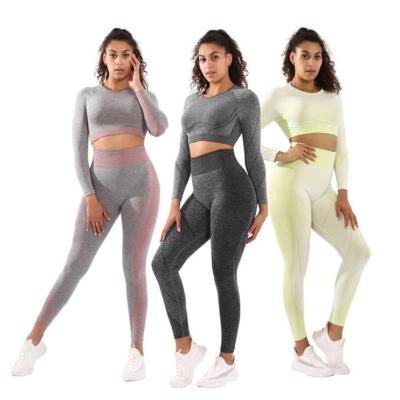 China 2021 High Quality Women Breathable Seamless Long Sleeves Crop Top High Waist Yoga Gaiters 2 Pcs Sets for sale