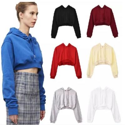 China Breathable Wholesale Women Fitness Training Sports Sweater Hoodies Sweatshirts Ladies Yoga Clothing for sale