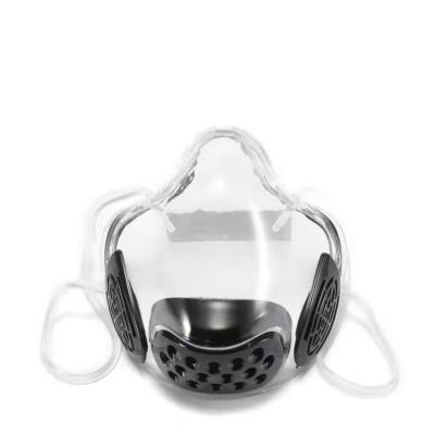 China Fogproof PC Maskes With Silicon Earloops Transparent Facemask For Fits Tightly Edge Maskes Reusable Smart Clarity Fully Clear Face Shield for sale