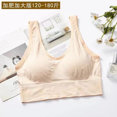 China Non-steel Antibacterial Breathable Comfortable Ring Ladies Ladies Underwear Anti-skid Panties for sale