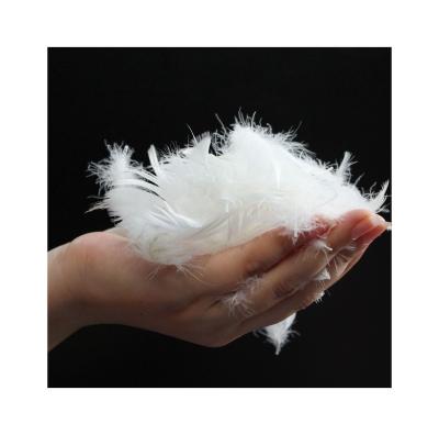 China BEST QULITY wholesale high quality duvet and rest washed filling material 2-4 cm soft white Duck Feather for sale