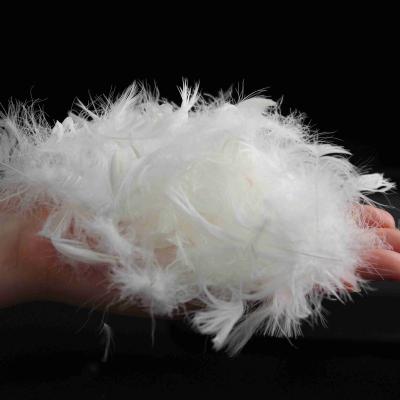 China BEST QULITY Washed Soft White 2-4 cm Duck Feather High Quality Down Wholesale and Lie Filling Material for sale