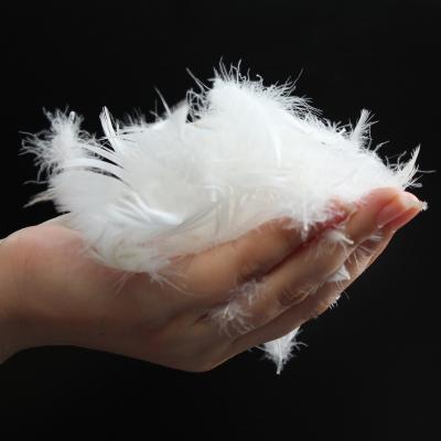 China Wholesale 2022 TOP QULITY 2021 WASHED WHITE GOOSE FEATHER DUCK FEATHERS High Quality SO SOFT SOFT DUCK FEATHER for sale