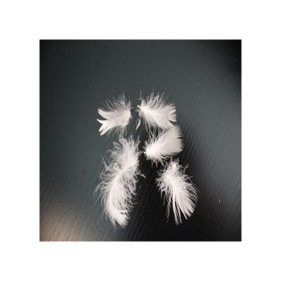 China BEST QULITY wholesale white goose feather and down jacket duck or goose feather filling down DIGNITY MARK for sale