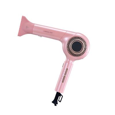 China Ionic Salon Supplies Big Bldc Dryer Motor Accessories Professional Equipments Tools Hair Customize Ionic Set Super Blowdryer Energy for sale