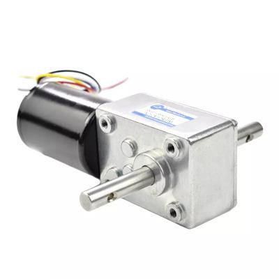 China Factory Direct Sales 5840-3650 24v 12v Double Small Permanent Electric Bldc Worm Gear DC Brushless Motor Totally Enclosed Shaft for sale