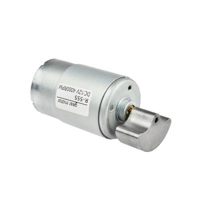 China R-555 Totally Enclosed Brushed Worm Drive Mini Gear Rs 555 Motor 12 Volt Small Dc Motor for sale