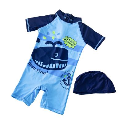 China Breathable kids beach leisure sportswear, sun hat, boys and kids, one-piece swimsuit, swimming trunks, quick-drying, style: whale for sale