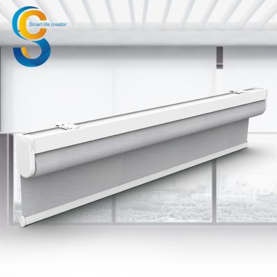 China CLASSIC Radio Blinds Chain Motor Lithium Battery 2200mah High Quality DC Wifi Zebra Electric Control Motorized Roller Blinds for sale