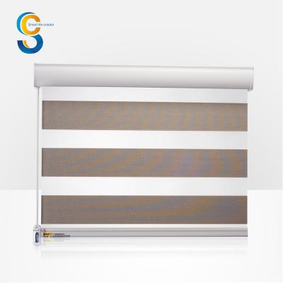 China Transparent Zebra Shades Japanese Blackout Window Components Spring Roller Shades for sale