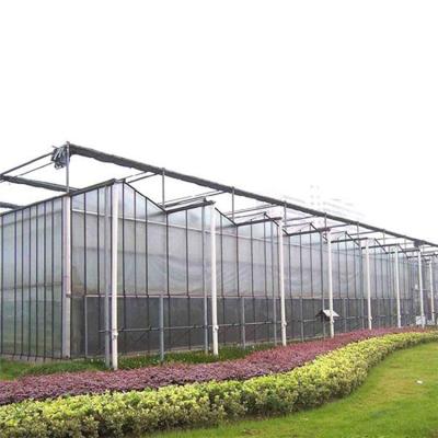 China Galvanized Steel Structural Vegetable Growing Tomato Greenhouse Grow Tent Polyhouse for sale