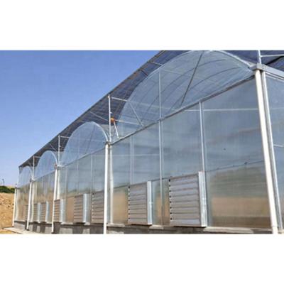 China Stable structure easily assembled factory price simple structure plastic agricultural film sheet greenhouse for sale