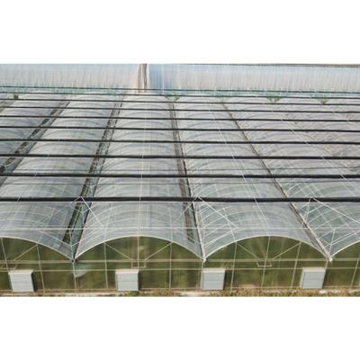 China Stable structure easily assembled factory price simple structure polycarbonate film agricultural greenhouse on sale for sale