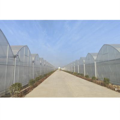 China Stable Structure Easily Assembled Factory Price Simple Structure Agricultural Film Tunnel Greenhouses For Sale for sale