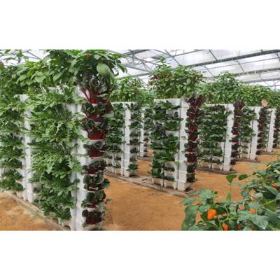 China Intelligent / efficient modern agricultural intelligence system polycarbonate hydroponic greenhouses for sale for sale