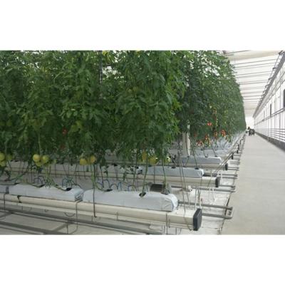 China Smart/efficient modern agricultural intelligence hydroponic tunnel greenhouse for sale for sale