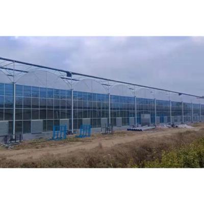 China Stable Structure Easily Assembled Muchen Design Stable Structure Agricultural Polycarbonate Glass Greenhouses for sale