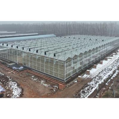 China Stable Structure Easily Assembled Chinese Muchen Design Stable Structure Agricultural Glass Greenhouses for sale