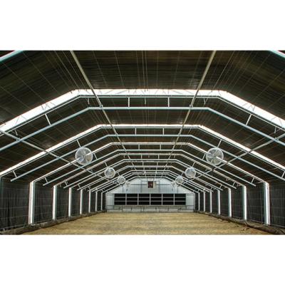 China Stable Structure Easily Assembled Deprivation Agricultural Lightweight Blackout Plastic Film Greenhouses For Sale for sale