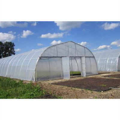 China Stable Structure Easily Assembled Simple Structure Commercial Agricultural Garden Greenhouses On Sale for sale