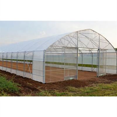 China Stable Structure Easily Assembled Commercial Single Span Plastic Film Agricultural Greenhouses For Sale for sale