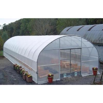 China Stable structure easily assembled simple structure chinese commercial agricultural tunnel greenhouses frame on sale for sale