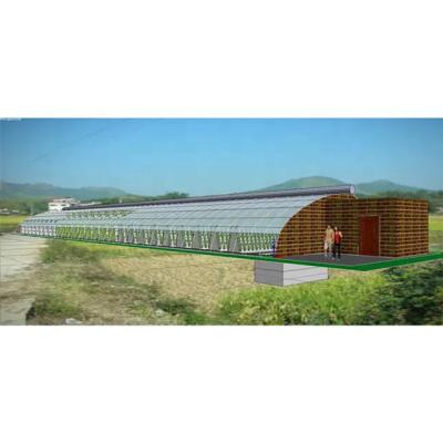 China Stable structure easily assembled single-span thermostatic agricultural solar greenhouses from Muchen brand professional manufacturer for sale