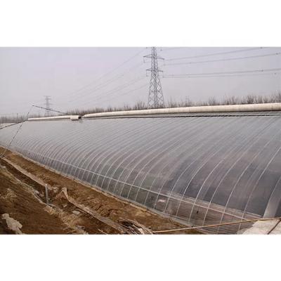 China Stable Structure Easily Assembled Muchen Brand Professional Manufacturer Agricultural Solar Plastic Sheet Greenhouses for sale