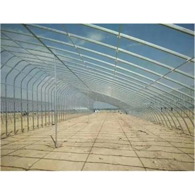 China Stable Structure Easily Assembled Muchen Brand Manufacturer Professional Agricultural Tunnel Solar Greenhouses for sale