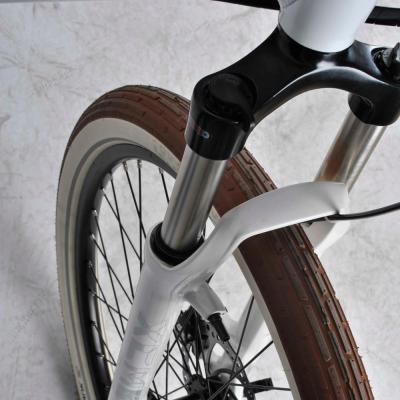 China Aluminum Alloy China Purchase Inclined Bicycle Cover , 100cc Engine Kit With CE EN15194 E-bike for sale