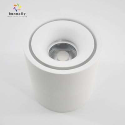 China Modern COB Downlight 3000K 4000K Around Shape Outdoor Mounted Led Downlight 30W for sale