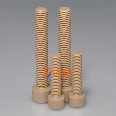 Cina PEEK naturale Hex Socket Thread Cap Cylinder Head Screw con densità 1.31 in vendita