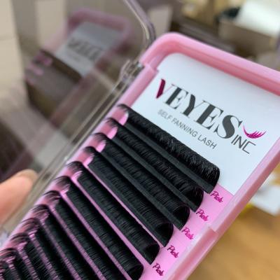 China Natural Fast Long Fanning 0.03 0.05 Lash Extensions Fan Volume Blooming Wicks Private Labels Best Easy Black Auto Fan 0.07mm Mega Quality for sale