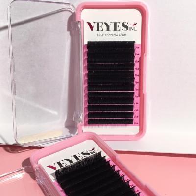 China PBT 8-14mm Natural Korean Quick Easy Long Fan Eyelash Extension 0.03 Blooming 0.05 0.07 0.10 Mega Volume Easy Fanning Eyelash Extensions for sale