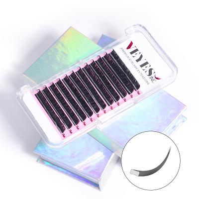 China Pbt Lash Extensions Private Label Korean Flat Cashmere Volume Eyelash Extensions Ellipse Long Veyelash Natural Top Grade for sale