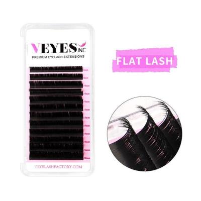 China Natural Wholesale Individual Long Volume Lashes Natural Ellipse Private Label Cashmere Flat Matte Black Eyelash Extensions for sale