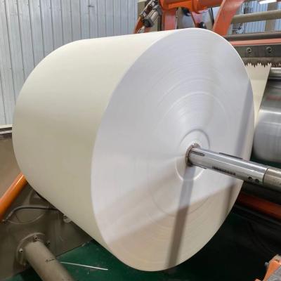 China 150g To 300g Paper Cup Making Raw Material Flexographic PE Paper Roll for sale