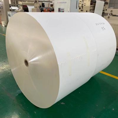 China 170gsm - 350gsm White Coated Paper Raw Material Paper Cup for sale