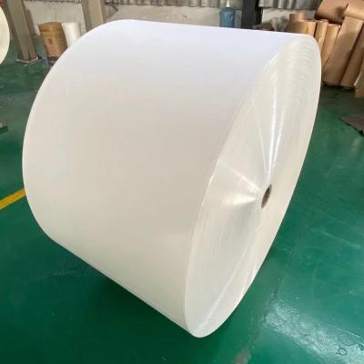 China O único PE 210+18gsm tomado partido revestiu a matéria prima de papel para os copos de papel à venda