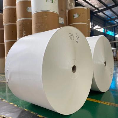 China Matt Double PE Coated Paper Cup Roll 150gsm Paper Cup Making Raw Material for sale