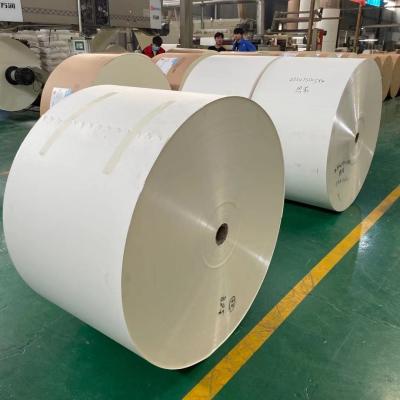 China Offset- PET lamellierte Papier-flexographische Rolle der Papierschalen-230gram zu verkaufen