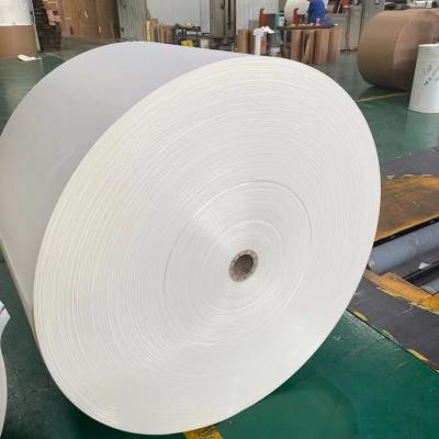 China Dia 1200mm Cup Stock Paper Raw Material Required For Paper Cup Manufacturing for sale