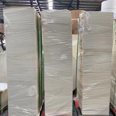 China 280gsm PLA Coated Paper Cup Raw Material Single Wall Paper Cup Blanks for sale