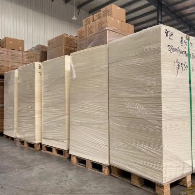 China Disposable PE Coated Paper in Sheet Raw Material Paper Cup for sale