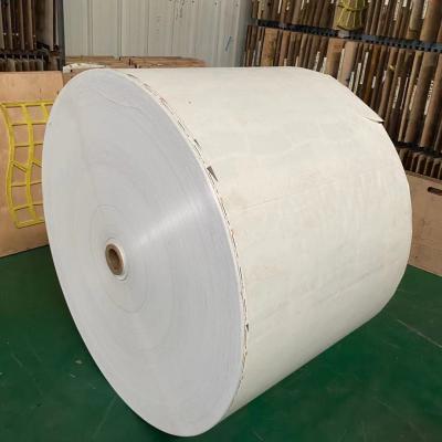 China 185G 190G Double PE Coated Paper Plastic Coated Paper Roll for sale