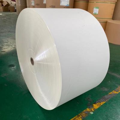 China Einzelnes doppeltes PET lamellierte Papierschale, die Rohstoff 330gsm macht zu verkaufen