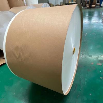 China Coated 235gsm Paper Tea Cup Raw Material Cupstock Paper for sale