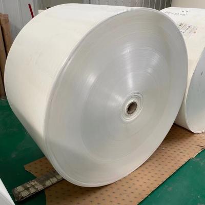 China Dia 1.2m PE Coated Paper Rolls 185 Gram Lamination Paper Roll for sale